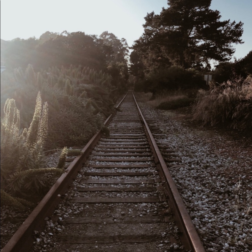 Meet your Posher, Kenzie